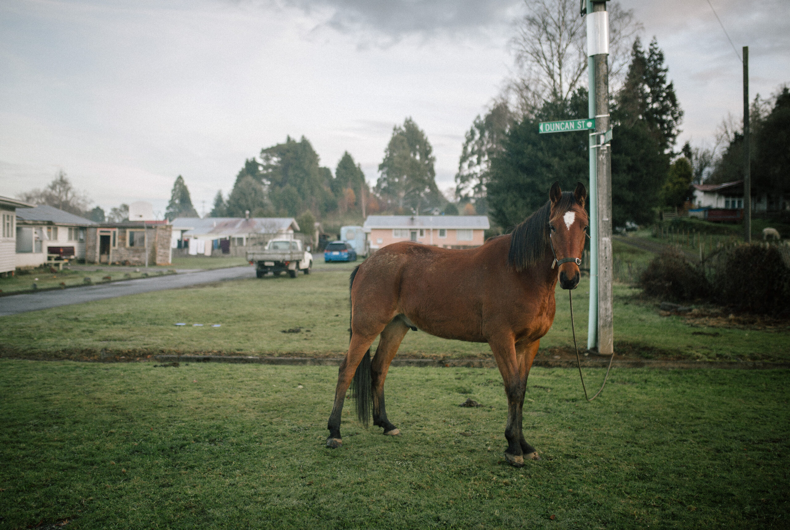 2026_MAGGIE_JUMPING-35